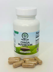 Chaga Mushroom